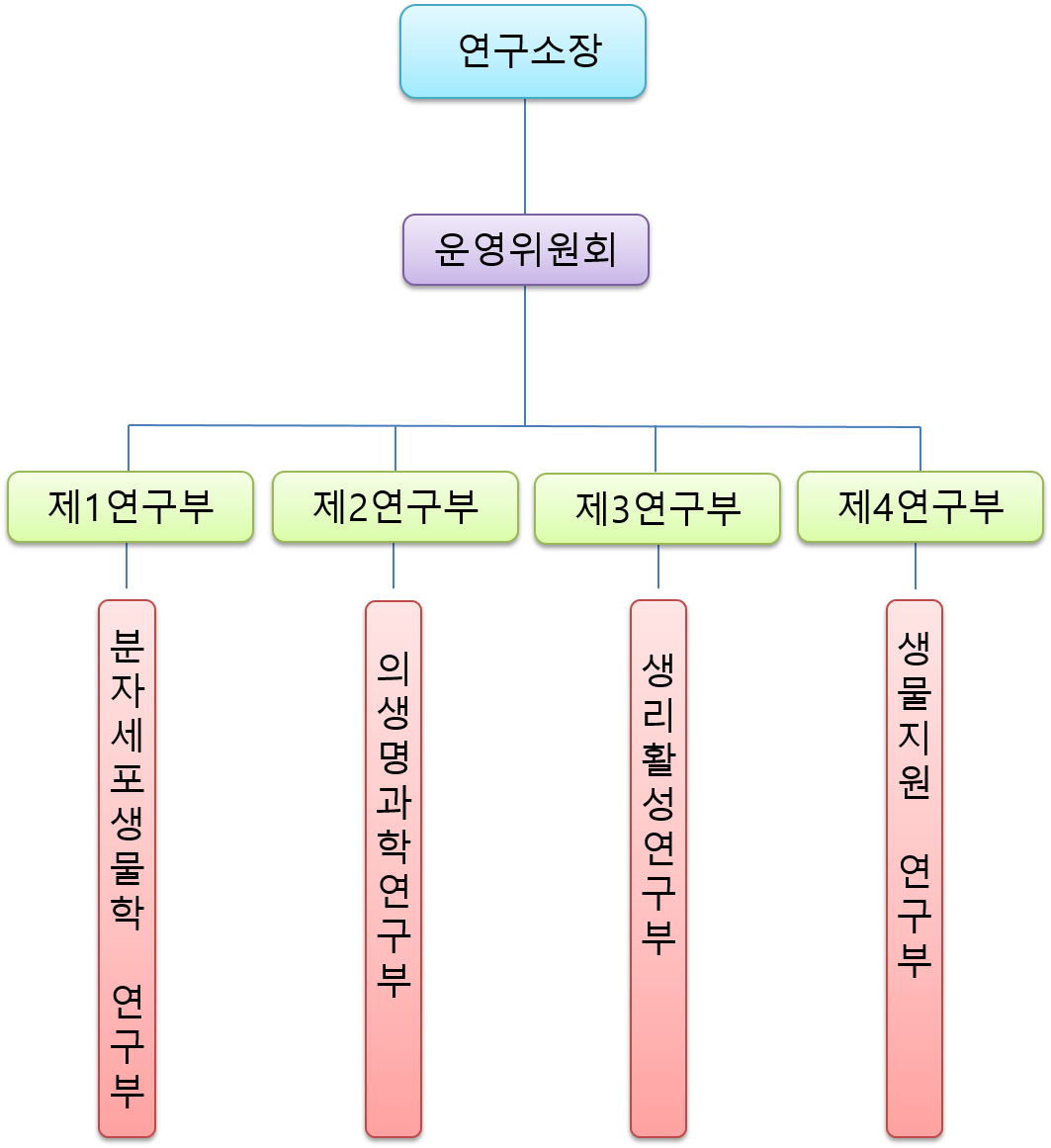 조직도
